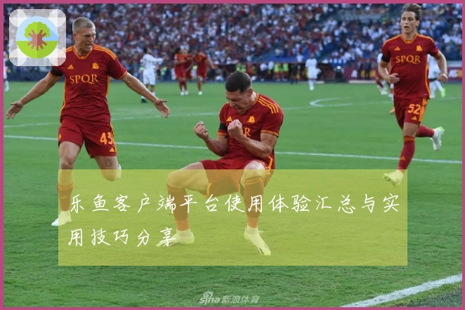 乐鱼客户端平台使用体验汇总与实用技巧分享