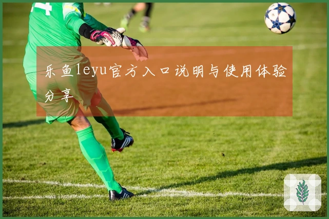乐鱼leyu官方入口说明与使用体验分享