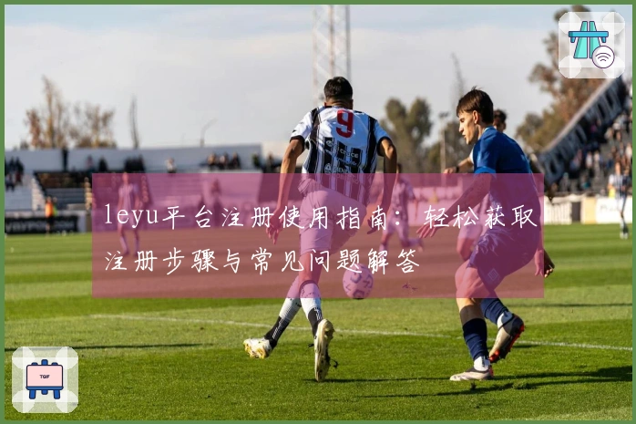 leyu平台注册使用指南：轻松获取注册步骤与常见问题解答