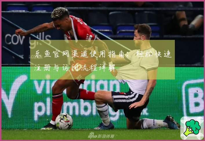 乐鱼官网渠道使用指南：轻松快速注册与访问流程详解